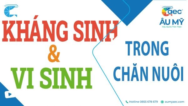 Sử dụng đồng thời vi sinh (probiotic) và kháng sinh trong nuôi tôm cá