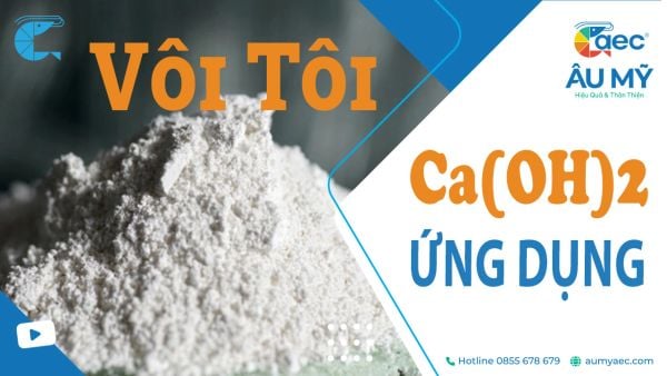 Vôi Tôi - (Ca(OH)2 - Canxi Hydroxit: Tính Chất, Ứng Dụng Nuôi tôm Cá