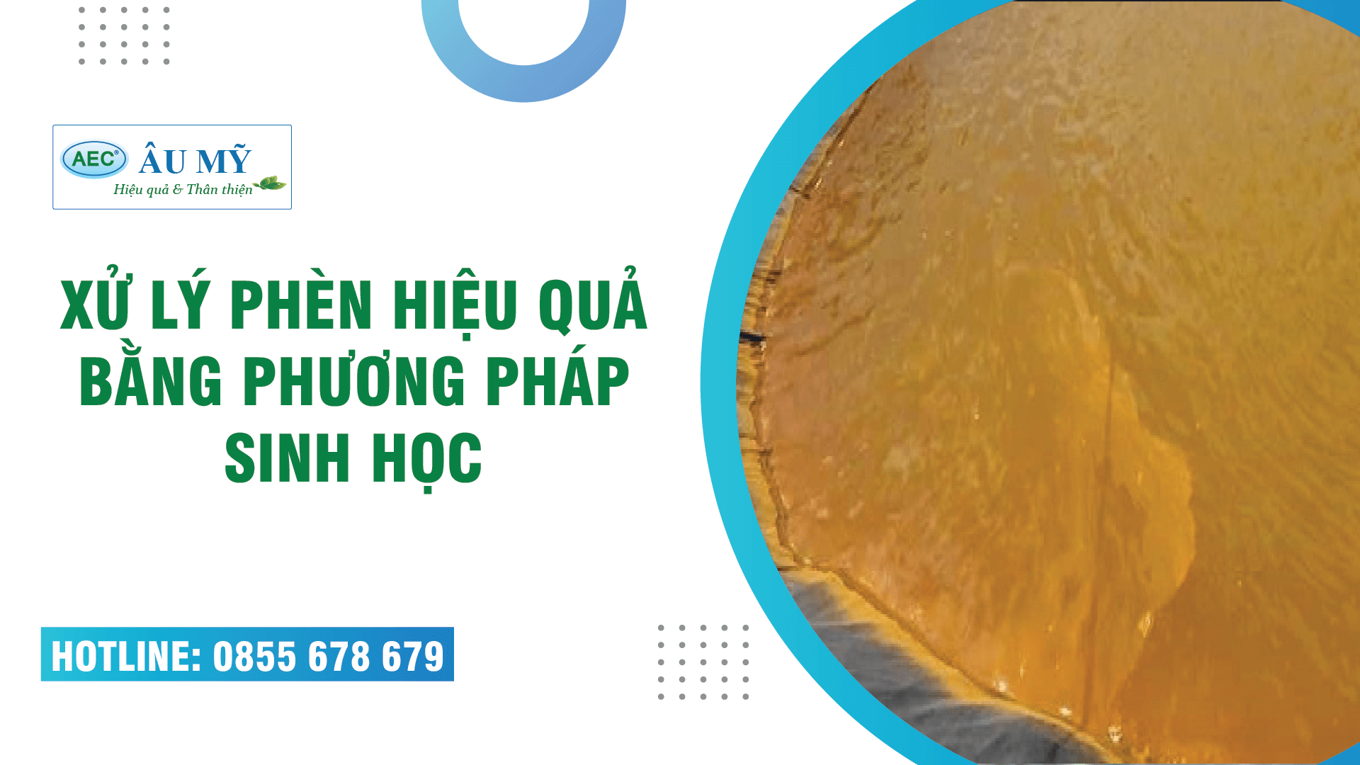 XỬ LÝ PHÈN HIỆU QUẢ BẰNG BIỆN PHÁP SINH HỌC