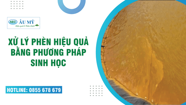 XỬ LÝ PHÈN HIỆU QUẢ BẰNG BIỆN PHÁP SINH HỌC