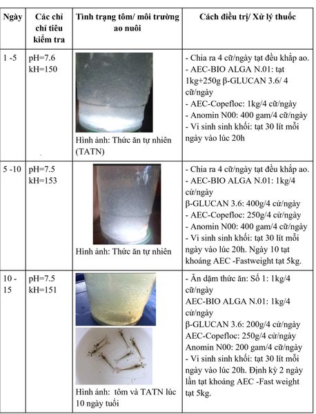 Hình ảnh mô hình Aec - Copefloc 63