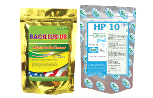 Bộ đôi khử phèn Bacillus-Us và HP10