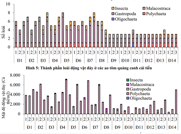 Thành phần và mật độ các loài động vật đáy ở các ao tôm quảng canh cải tiến