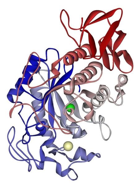 alpha-amylase
