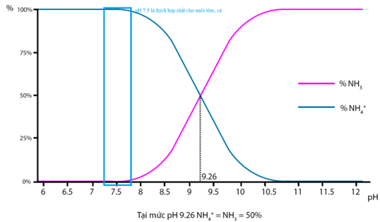 Ảnh hưởng của pH lên NH3/NH4+
