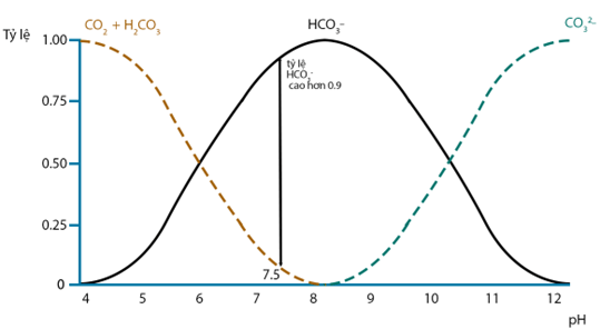 Ảnh hưởng của pH tỉ lệ của các dạng tổng CO2,HCO3-,CO32-