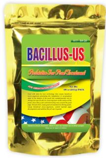 Vi sinh siêu khử phèn Bacillus Us