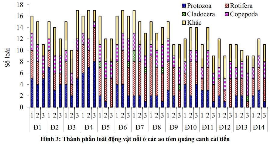 Thành phần loài động vật nổi ở các ao tôm quảng canh cải tiến