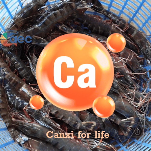 Khoáng Canxi - Canci - Ca
