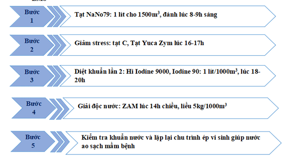 Giải pháp diệt khuẩn ao nhiễm ems