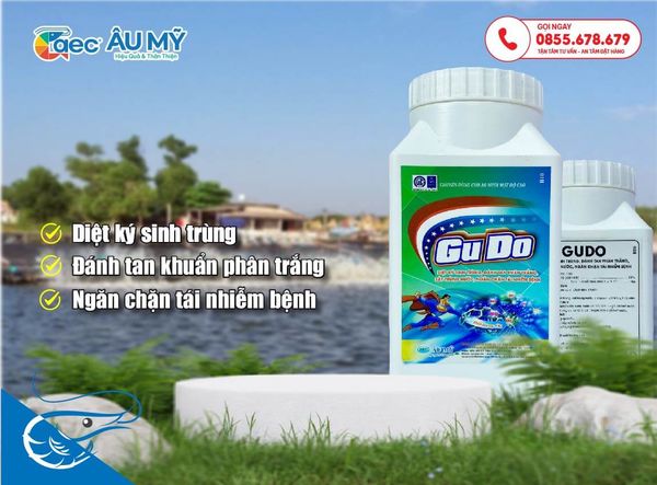 Gu Do diệt khuẩn cực mạnh