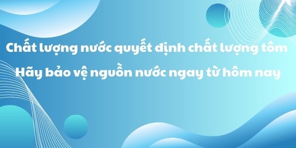 CÂU KHẨU HIỆU BẢO VỆ MÔI TRƯỜNG NƯỚC NUÔI TÔM - Chất lượng nước quyết định chất lượng tôm