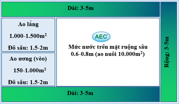 Hình 1.1 Thiết kế hệ thống ao nuôi quảng canh cải tiến