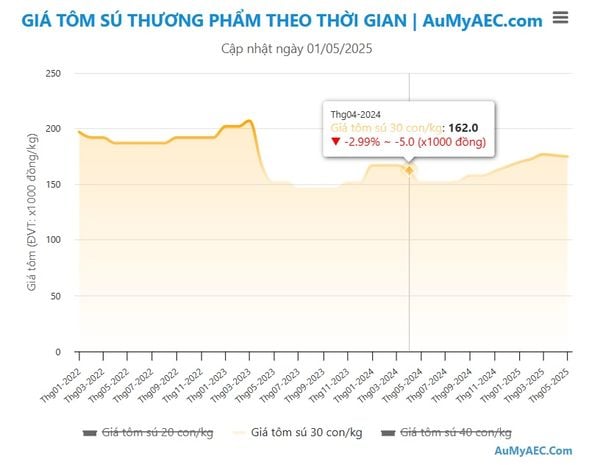 biểu đồ giá tôm sú từ tháng 01-2022 đến tháng 04-2025