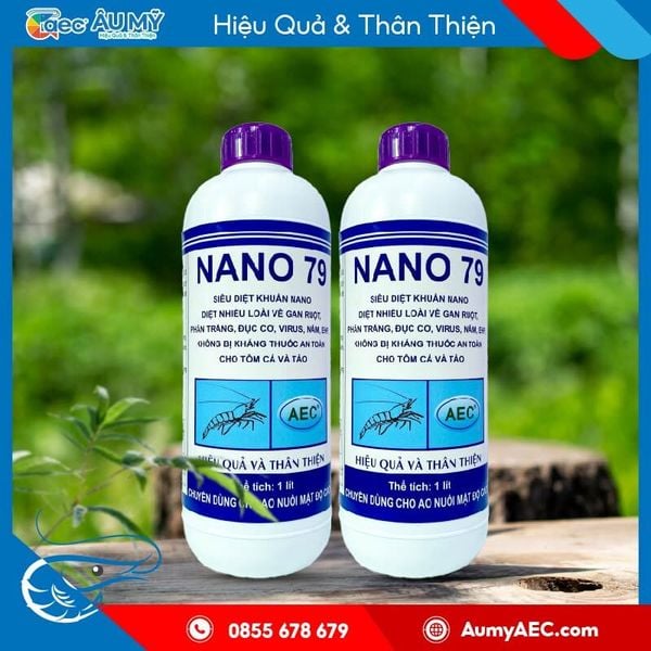 Diệt khuẩn Nano 79