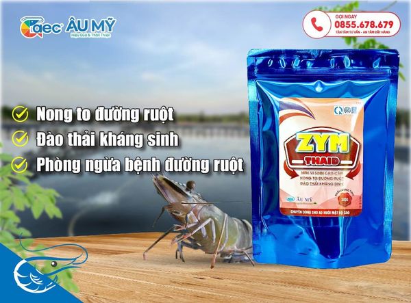 Men vi sinh đường ruột cho tôm - Zym Thaid