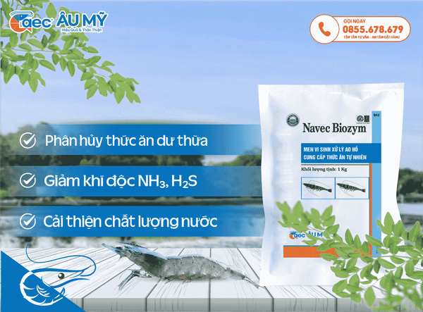 NAVEC BIOZYM - Men vi sinh xử lý đáy ao, hỗ trợ thức ăn tự nhiên phát triển