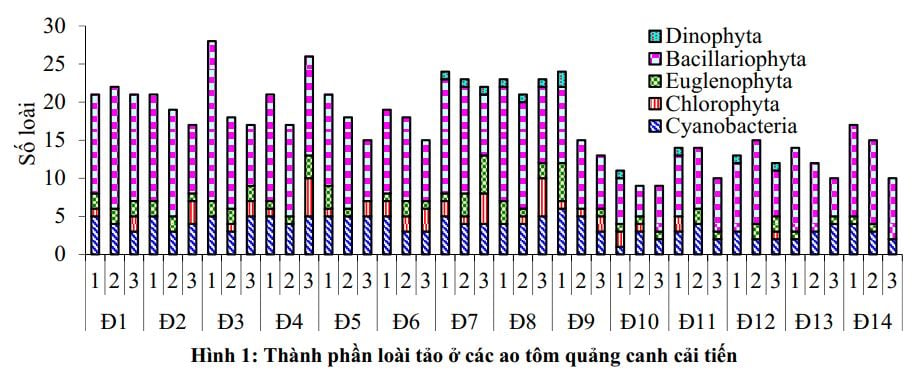 Thành-phần-loài-tảo-ở-ao-nuôi-tôm-quảng-canh-cải-tiến-hình-1