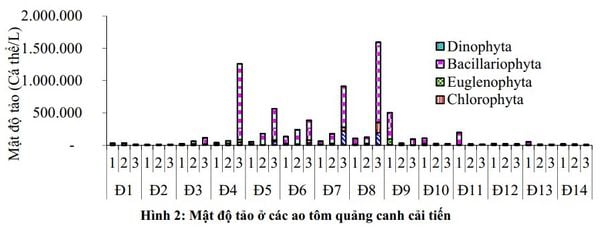 Thành-phần-loài-tảo-ở-ao-nuôi-tôm-quảng-canh-cải-tiến-hình-1