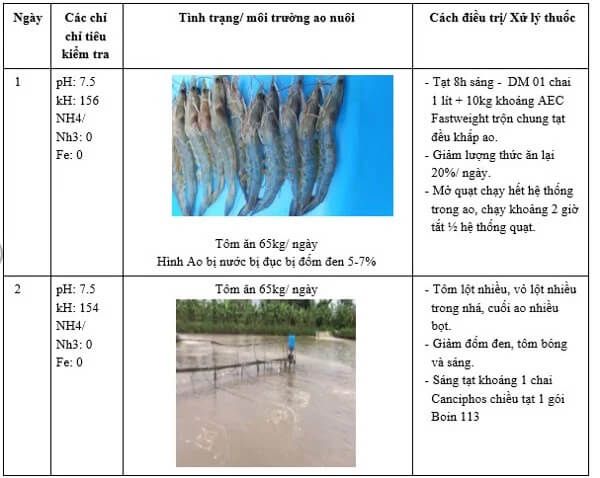 Phác đồ điều trị đốm đen ở tôm