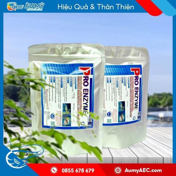 Pro Enzyme men tiêu hóa giúp đường ruột tôm khỏe mạnh