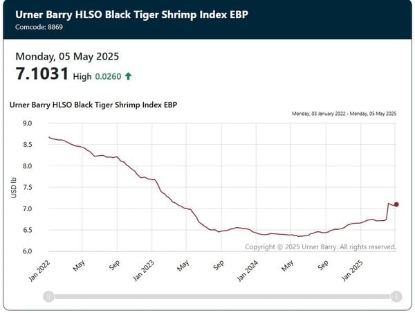 Urner Barry HLSO Black Tiger Shrimp Index EBP