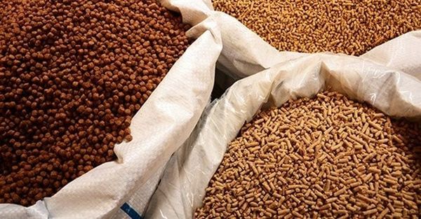 Thức ăn công nghiệp cho tôm - chất lượng và màu sắc