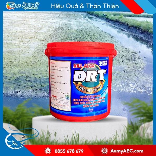 Thuốc diệt rong Kill Alga Drt