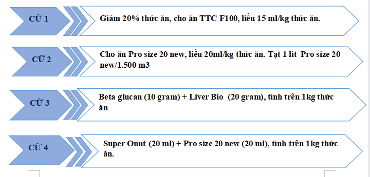 QUY TRÌNH XỬ LÝ LMS