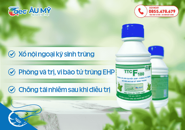 TTC F100 - Phòng trị tôm bị EHP cho tôm nuôi siêu thâm canh, thâm canh