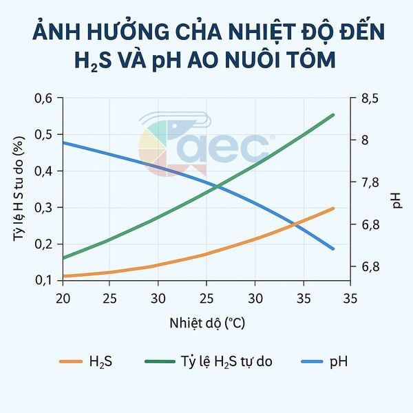 Ảnh hưởng kép của nhiệt độ đến H2S và pH ao nuôi tôm