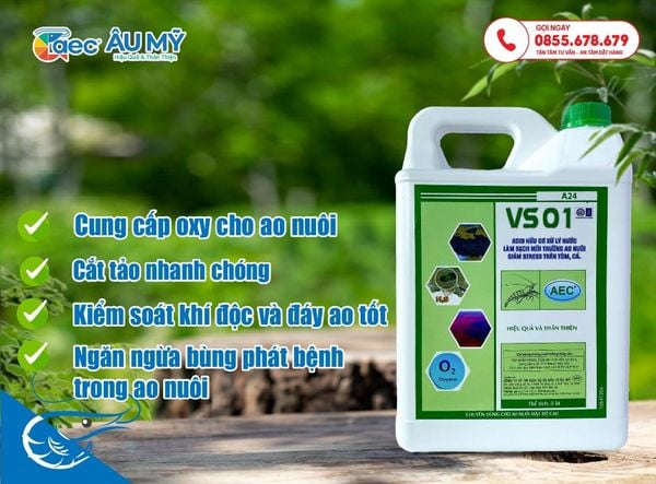 Vi sinh quang dướng VS01