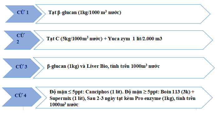 XỬ LÝ NƯỚC CẮT CỮ TÔM