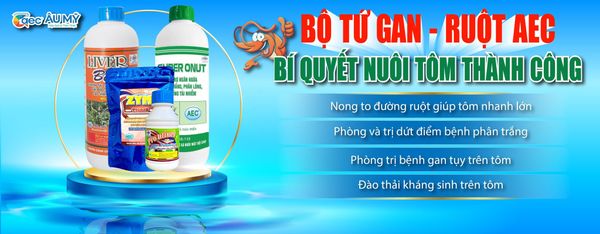 Ứng dụng trong quy trình nuôi tôm bằng thảo dược hiệu quả và an toàn bằng Bộ tứ Gan - Ruột AEC
