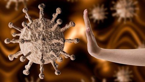 Top 10 cổ phiếu “miễn nhiễm” với virus Corona
