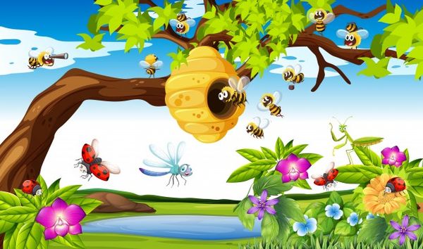 Biết cách lựa chọn quà tặng thông qua câu chuyện ruồi và ong mật