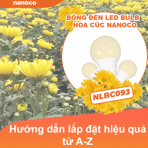 Hướng dẫn lắp đèn LED Bulb hoa cúc A – Z  hiệu quả nhất