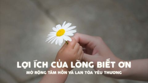 LỢI ÍCH CỦA LÒNG BIẾT ƠN: MỞ RỘNG TÂM HỒN VÀ LAN TỎA YÊU THƯƠNG