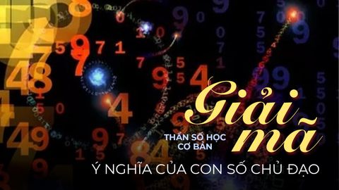 GIẢI MÃ THẦN SỐ HỌC CƠ BẢN: Ý NGHĨA CỦA CON SỐ CHỦ ĐẠO