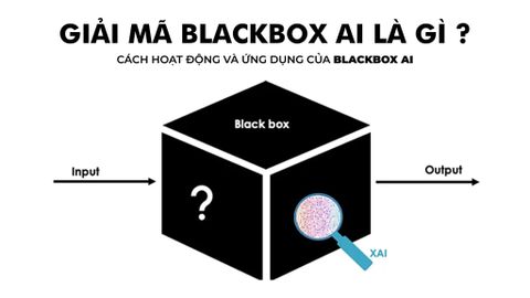 GIẢI MÃ BLACKBOX AI LÀ GÌ, CÁCH HOẠT ĐỘNG VÀ ỨNG DỤNG CỦA BLACKBOX AI