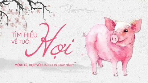 TÌM HIỂU VỀ TUỔI HỢI: MỆNH GÌ, HỢP VỚI CÁC CON GIÁP NÀO?