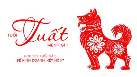 TUỔI TUẤT MỆNH GÌ, HỢP VỚI TUỔI NÀO ĐỂ KINH DOANH, KẾT HÔN?