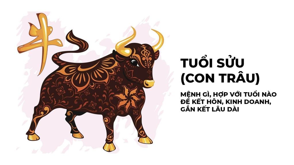 Ảnh minh họa tuổi Sửu