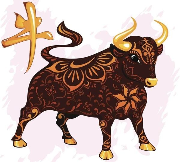 tuoi-suu-1
