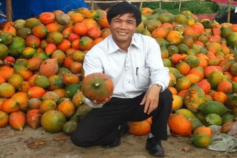 Bác sĩ quân y biến gấc thành 'quả vàng'