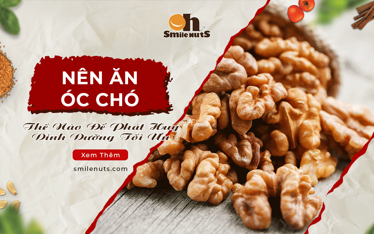 Nên Ăn Quả Óc Chó Thế Nào Để Phát Huy Dinh Dưỡng Tối Ưu
