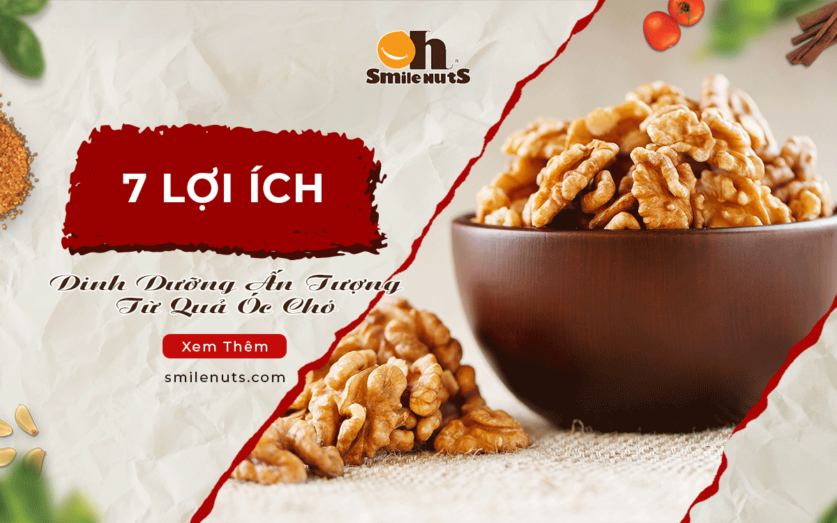 Tổng Hợp 7 Lợi Ích Dinh Dưỡng Ấn Tượng Từ Quả Óc Chó