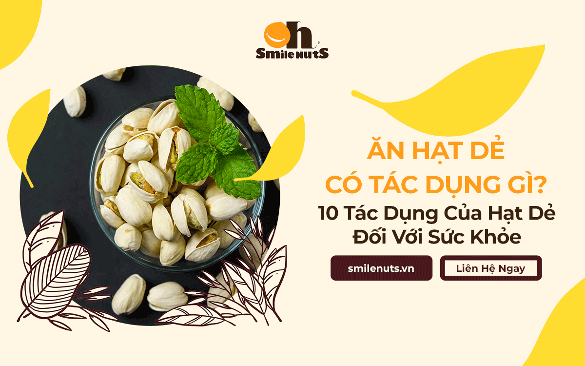 Ăn Hạt Dẻ Có Tác Dụng Gì? 10 Tác Dụng Của Hạt Dẻ Đối Với Sức Khỏe