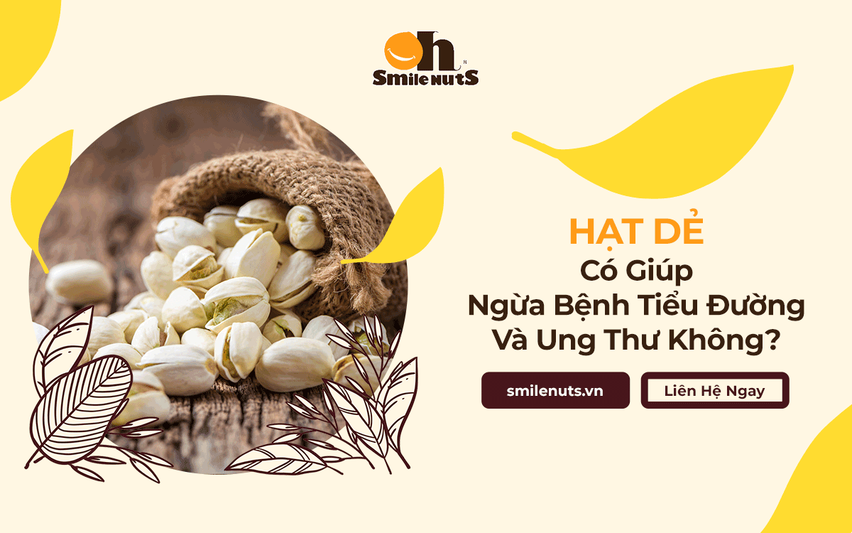 Hạt Dẻ Có Giúp Ngừa Bệnh Tiểu Đường Và Ung Thư Không?