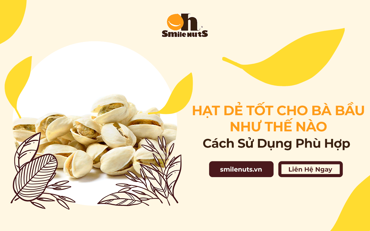 Hạt Dẻ Tốt Cho Bà Bầu Như Thế Nào? Cách Sử Dụng Phù Hợp